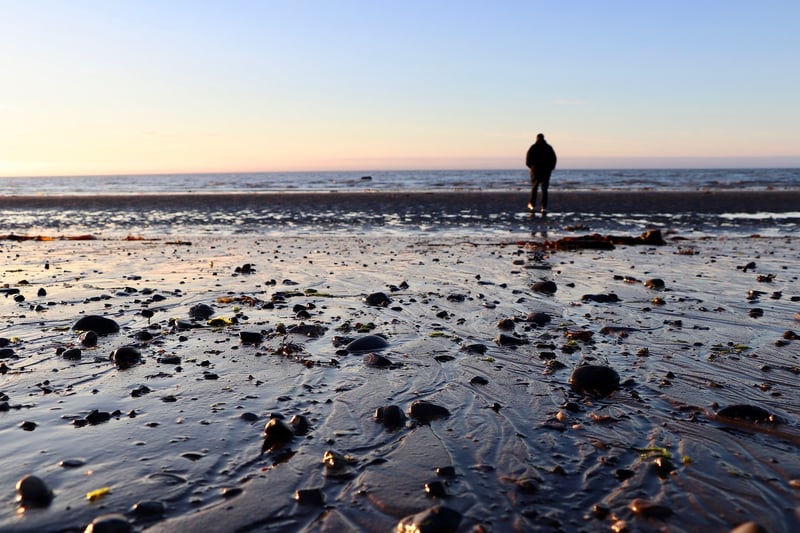 Mindful Walking in Nature